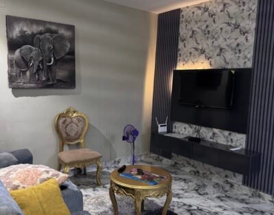 1 Bedroom apartment in Jahi / Katampe