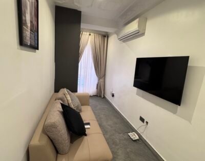 1 Bedroom Apartment in Asokoro with 24/7 A.C & Bathtub