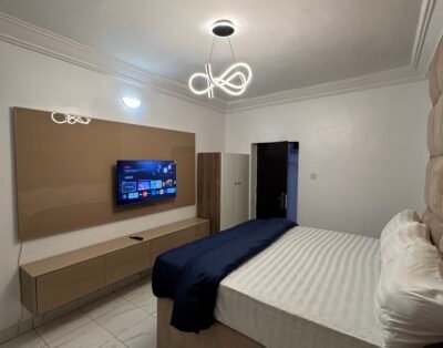 Studio Apartment in Utako 3