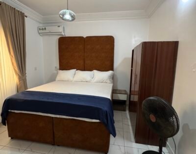 Studio Apartment in Utako 4