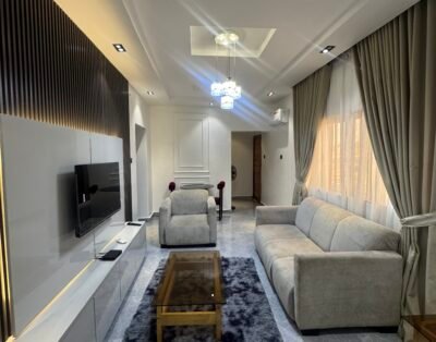 1 Bedroom apartment in Jahi with Starlink Wi-FI *3